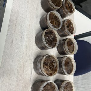 10 x 125g organic black soap jars